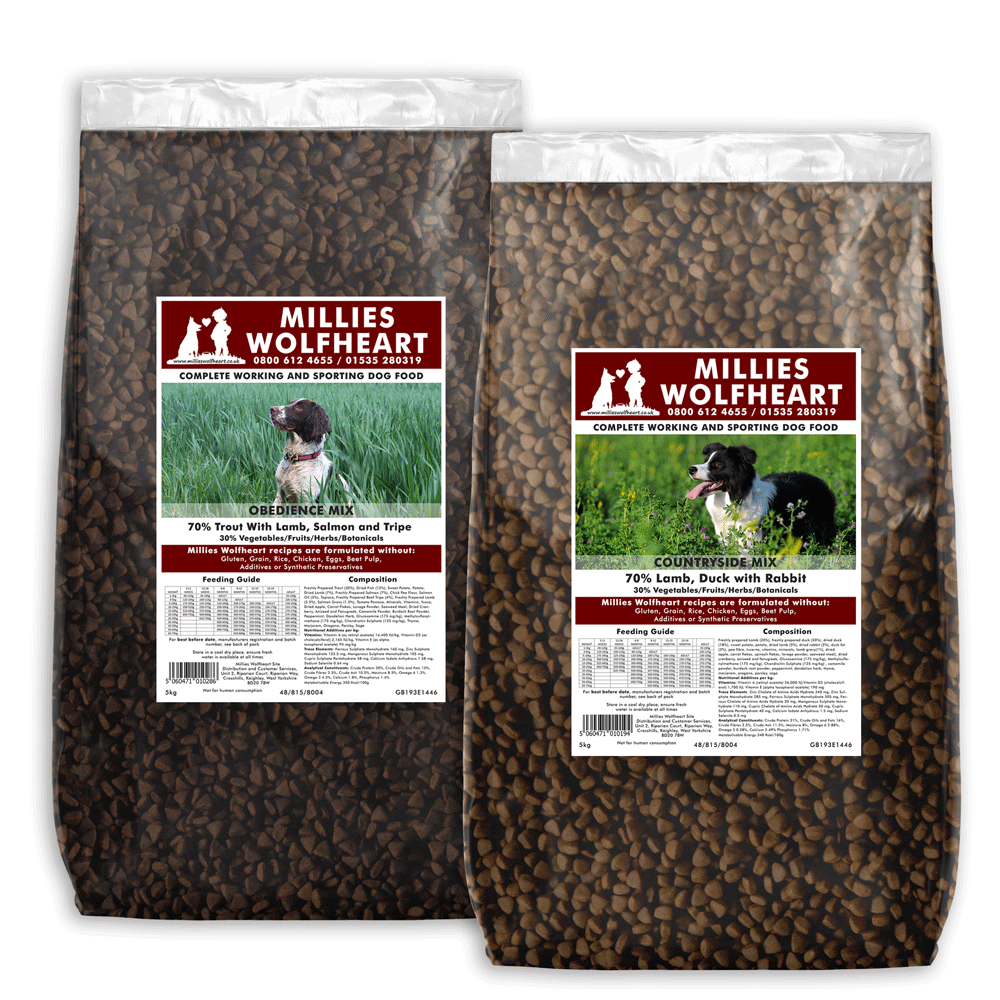 Small Bag Multi deal