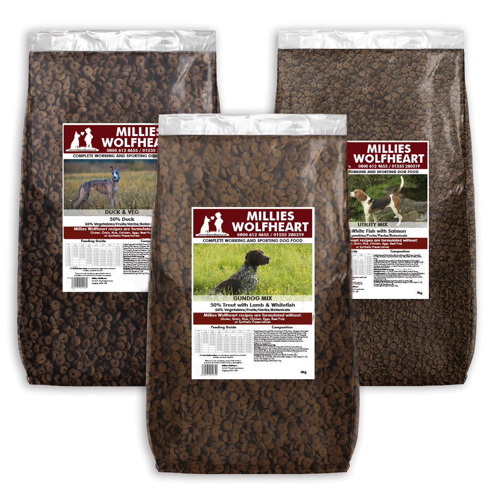 Small Bag Multi Deal