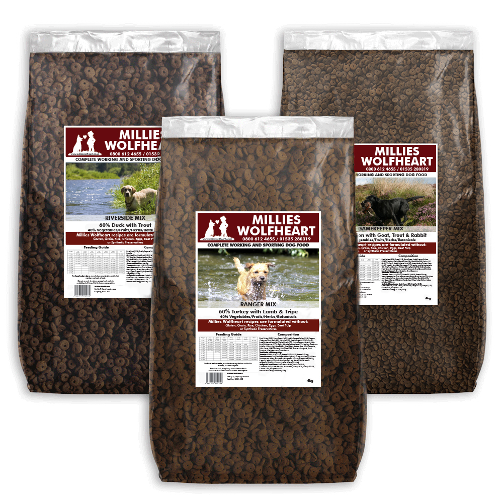 Small Bag Multi Deal