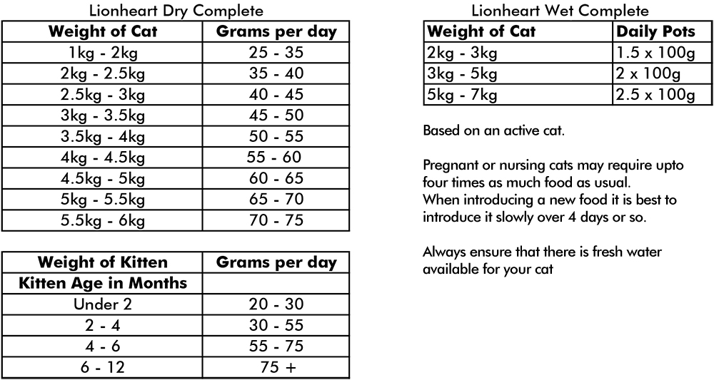 Cat Feeding Guide